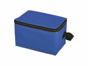 GAPS_6-Can-Cooler-Vinyl-GAPSPDCGN08-QKRGV-1