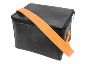 Reign Non Woven 6 Can Cooler Bag